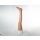Base Model Leg without Wounds