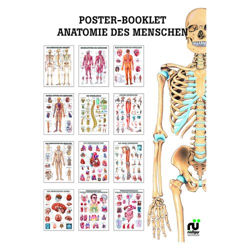 Miniposter Booklet - Anatomie (MPB01)