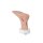 Fuß mit 2 freiliegenenden Sehnen, Achillessehne, Tibialis-posterior-Sehne
