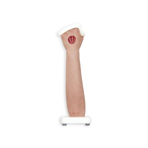 Base Model Arm with Exposed Tendons