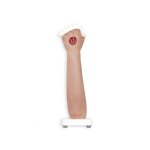 Base Model Arm with Exposed Tendons