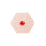 Hexapad Stoma in einer Mulde