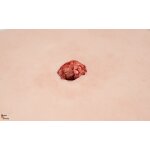 Woundpacking Simulator Schuss Eintritt
