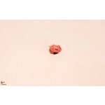 Stick-On Large Bleeding Simulator Wound "Eintritt"