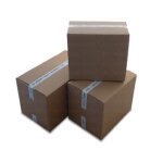Cardboard Packaging for Transporter BlueLine 50L (10 pcs.)