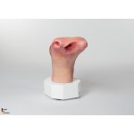 Base Model Diabetic Foot Syndrome with 7 Wounds - clean wound