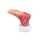 Base Model Diabetic Foot Syndrome with 7 Wounds - clean wound