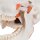 Skull Model TMJ, Demonstrates Functions of Masticator Muscles, 2 part - 3B Smart Anatomy