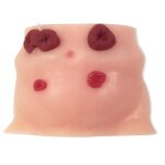 Stomapflege-Simulator