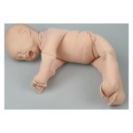 Female pelvis model with fetus doll