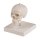 Miniature skull model, 3 parts on stand