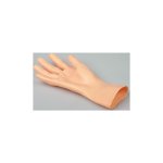 Hand skin for GM12428