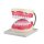 Zahnpflege-Modell, 3-fache Gr&ouml;&szlig;e